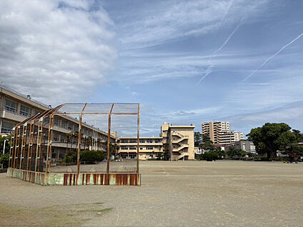 酒匂小学校 239m