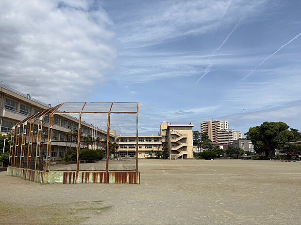 酒匂小学校（約239m）