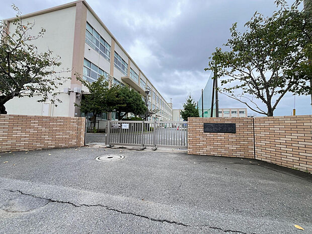 茅ヶ崎市立松波中学校（約545m）