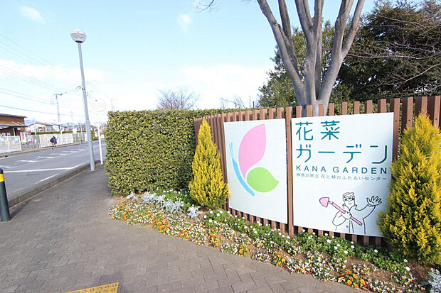 花菜ガーデン（約1,463m）