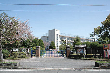 港小学校 616m