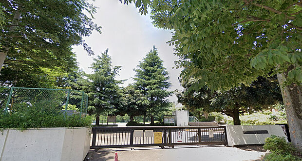 緑台小学校（約550m）