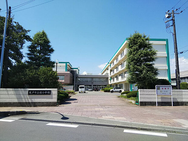 桜小学校　