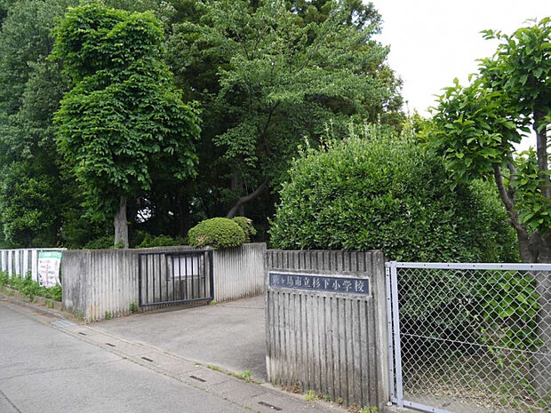 杉下小学校　