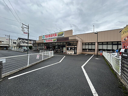エコスTAIRAYA 600m
