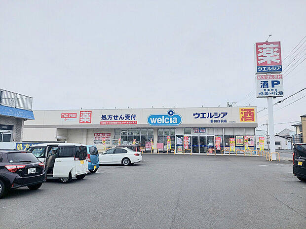 ウエルシア磐田白羽店 （約2,800m）