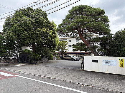 藤枝市立青島東小学校 1000m