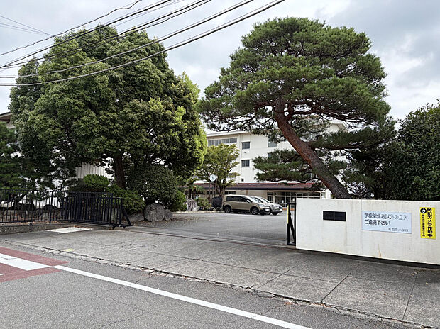 藤枝市立青島東小学校（約1,000m）