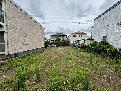 現地写真（撮影:6/28）