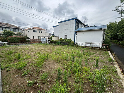 現地写真（撮影:6/28）