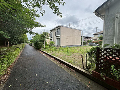 現地写真（撮影:6/28）