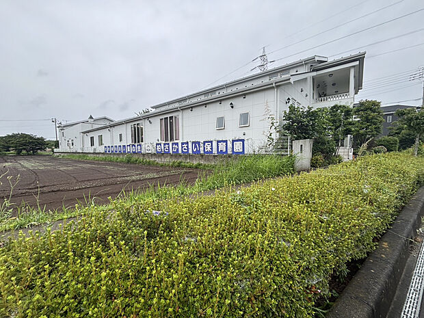 柏さかさい保育園（約556m）