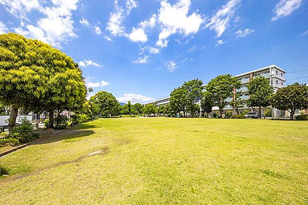 南鴨宮富士見公園(約180m・徒歩3分)