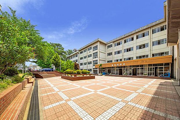 小田原市立酒匂中学校(約800m・徒歩10分)