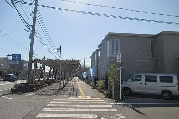 【No.1・11・12_前面道路(撮影_2026年2月)】春日部駅前から続くメインストリート「ふじ通り」。春には満開の藤の花を楽しむことができます。