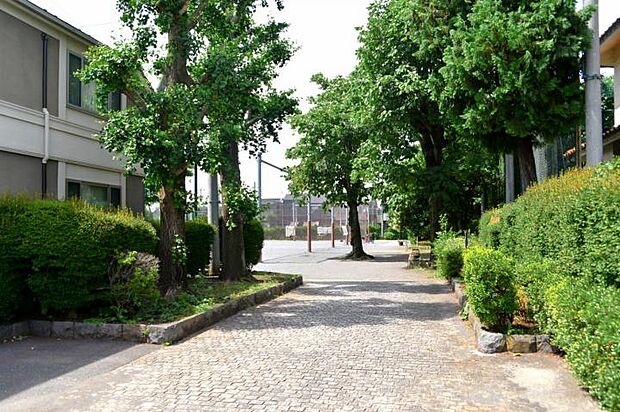 深大寺公園（約770m・徒歩10分）