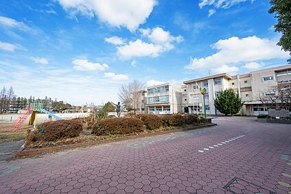 市原市立辰巳台東小学校 520m(7分)
