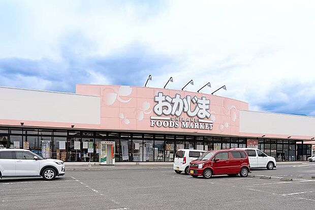 おかじま 白根店(約370m・徒歩5分)