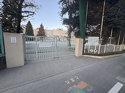 桃井第四小学校 約800m(徒歩10分)