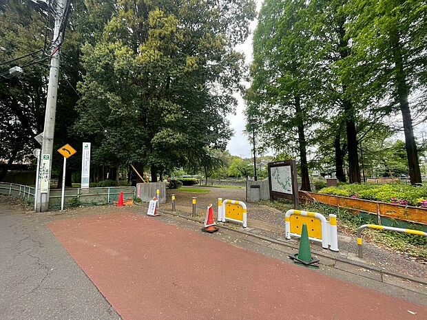 善福寺公園