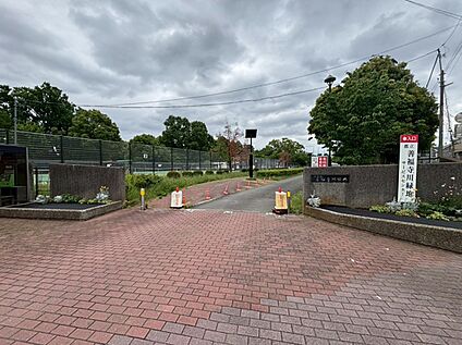 善福寺川緑地 320m(徒歩4分)