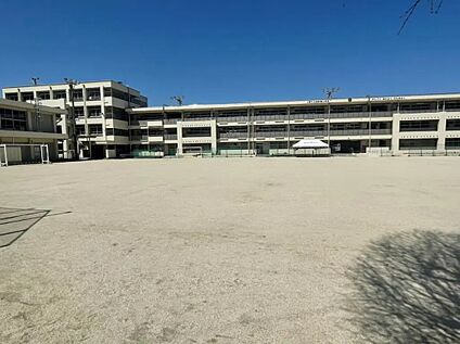 田野浦小学校 約600m