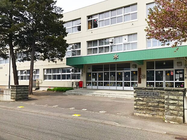 北都小学校(約500m)