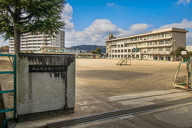 緑丘小学校(約950m)