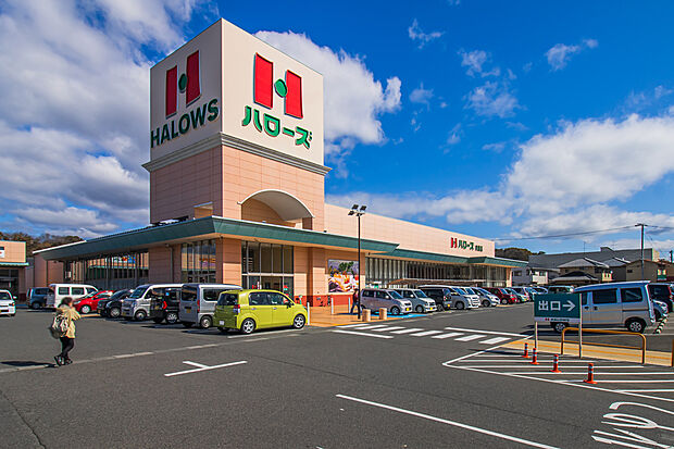 ハローズ向島店(約700m)