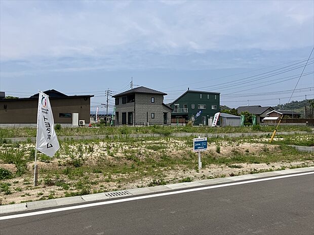24号地　