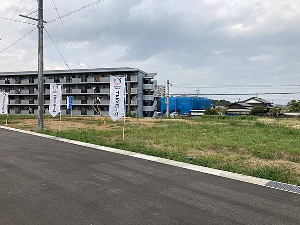 23号地
