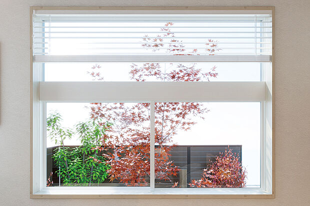 【窓から臨む緑の風景】外構植栽の配置を工夫して窓から緑が眺められる視線を作りました。