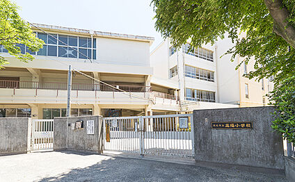 高石市立高陽小学校 約440m(徒歩6分)