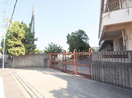 高石市立東羽衣小学校 約1100m(徒歩14分)