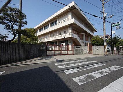 高石市立東羽衣小学校 約700m(徒歩9分)
