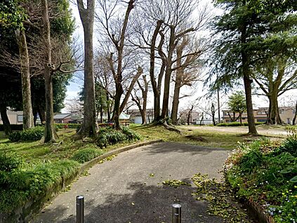 朝宮公園 約900ｍ(徒歩約12分)