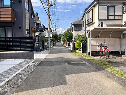 庭（2026年6月中旬撮影）