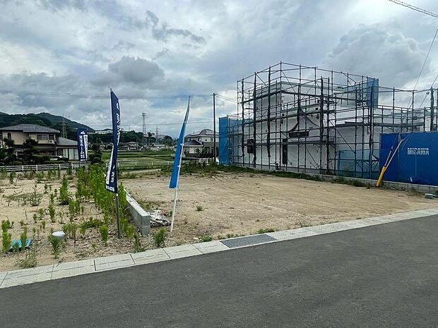 現地(2025年6月)撮影 5号地:南側接道、面積202.78m2