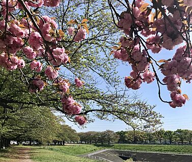 大宮第二公園 3200ｍ
