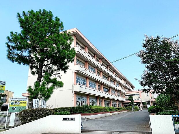 さいたま市立蓮沼小学校(約672m)