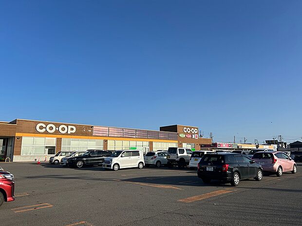 函館市石川中央ショッピングタウン（約500m）