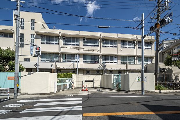 深井小学校（約340m・徒歩5分）