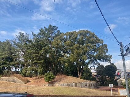 小笹中央公園 606ｍ(徒歩8分)