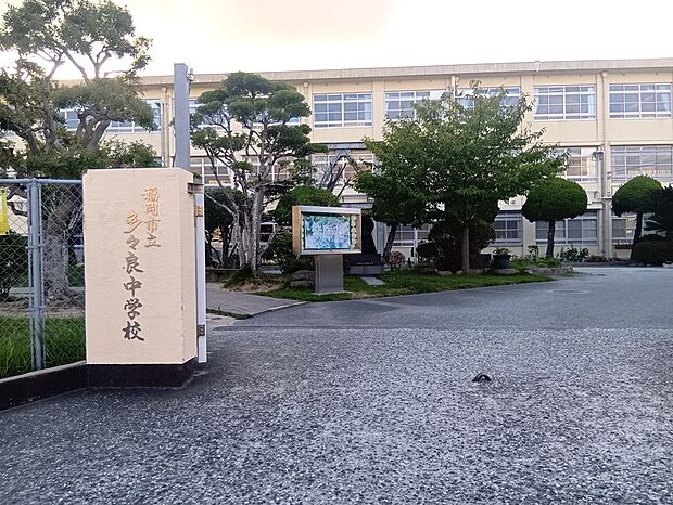 多々良中学校(約694m・徒歩9分)