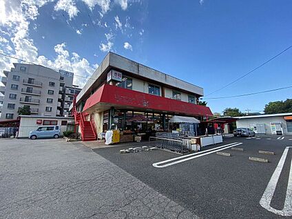スーパーチェーンカワグチこてはし南店 880m