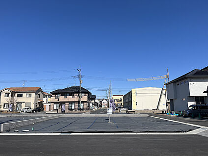 15号地