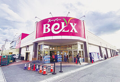 ベルクス　南越谷店 現地から186m～216m。(徒歩3分。(最長))