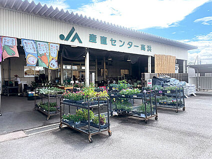JAあいち中央産直センター高浜 約850m(徒歩約11分)