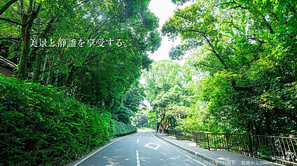 美景と静謐を享受する