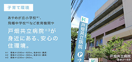 外観・分譲地
